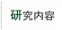 研究内容